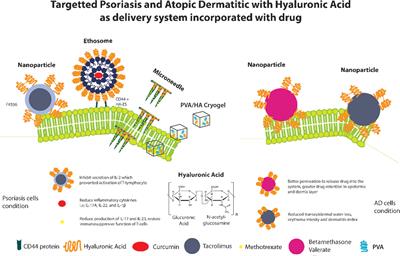 Hyaluronic Acid-Mediated Drug Delivery System Targeting for Inflammatory Skin Diseases: A Mini Review